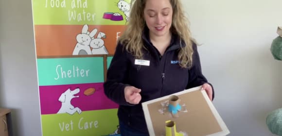 Cat toy made of cardboard